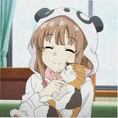 全能追剧达人